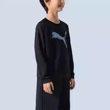 PUMAT PERFORMANCE WiseOry