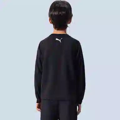 PUMAT PERFORMANCE WiseOry