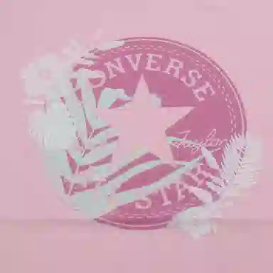 Converse CHUCK TAYLOR T