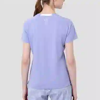 HELLY HANSEN ARCV logo T