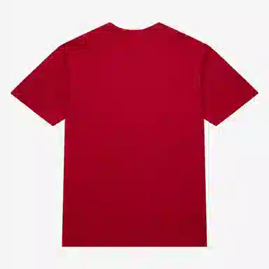 Mitchell Ness x NBA LOGOT