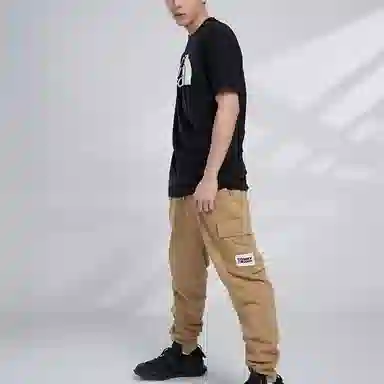 THE NORTH FACE LOGOT