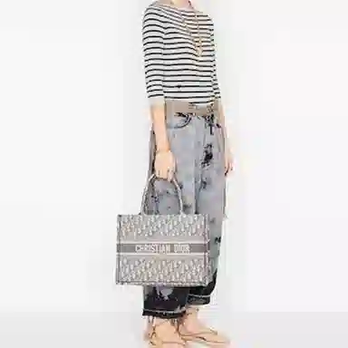 DIOR BookTote Tote