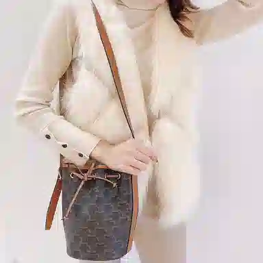 Celine Triomphe Canvas Bucket Bag