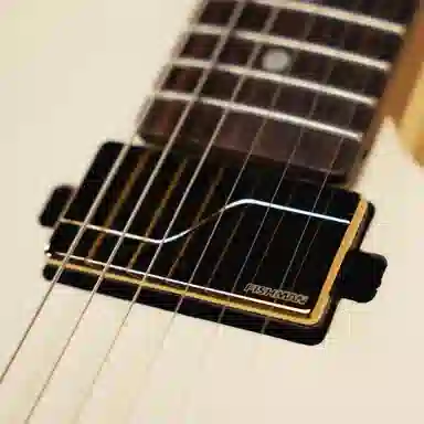 TAGIMA () Stella H2 CN Fishman 22