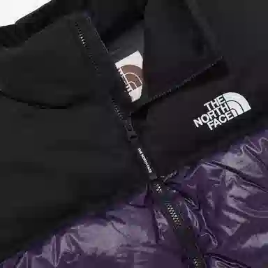 THE NORTH FACE Nuptse NOVELTY RDS DOWN