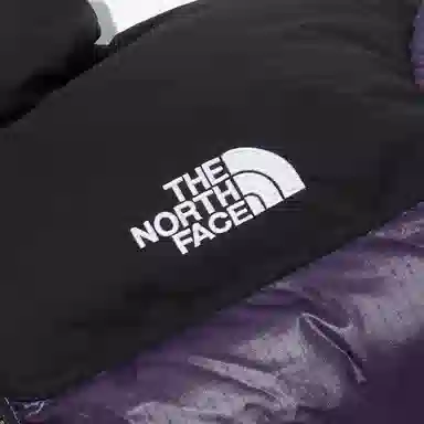 THE NORTH FACE Nuptse NOVELTY RDS DOWN