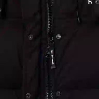 THE NORTH FACE Nuptse NOVELTY DRYVENT