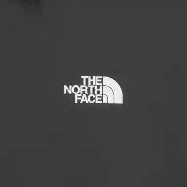 THE NORTH FACE Polo