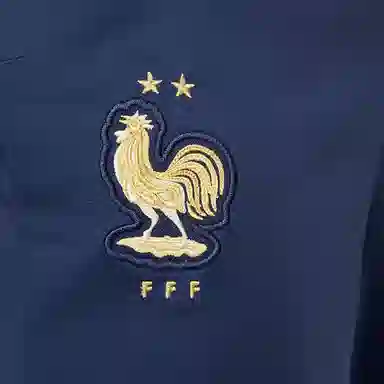 Nike Dri-Fit Strike France
