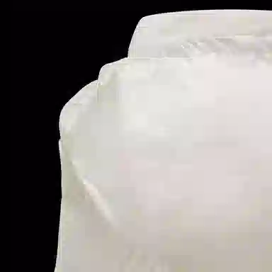 Moncler Rafael Down Gilet