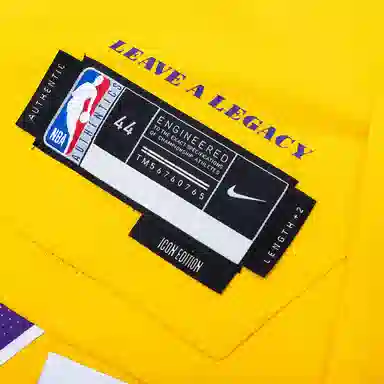 Nike DRI-FIT ADV NBA FW25 202223 Icon Edition