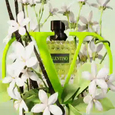 Valentino Born in Roma