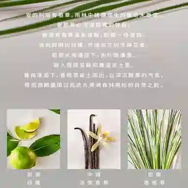 Ralph Lauren EDT 40ml100ml