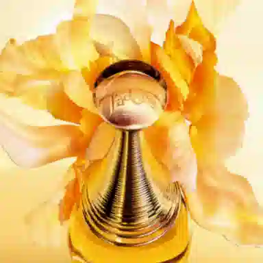DIOR EDP 50ml+720999
