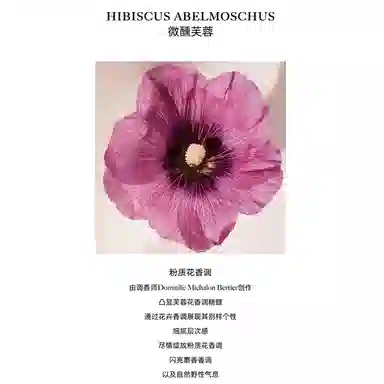 Chloe Fleur de Parfum