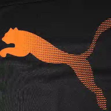 PUMA Beyond Speed Longsleeve Jersey