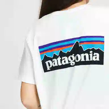 patagonia T
