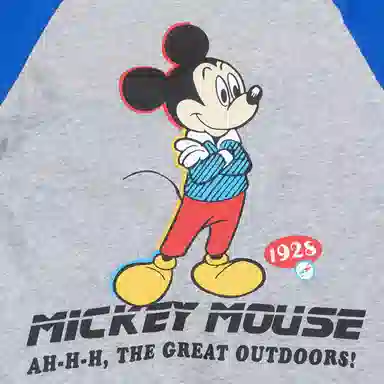 Disney T