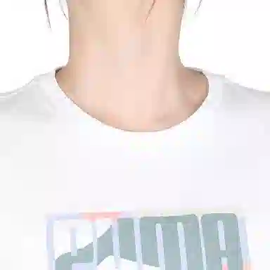 PUMA GRAPHICS Mountain Tee SS25 T