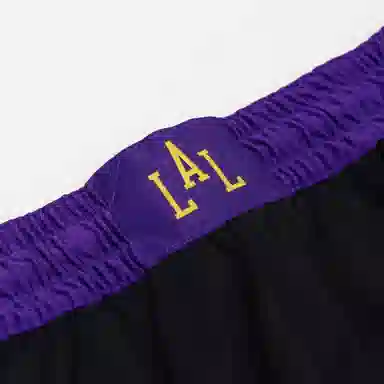 Nike Los Angeles Lakers City Edition 2023/24