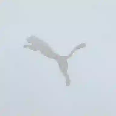 PUMA Long Oversized Down Coat Silver