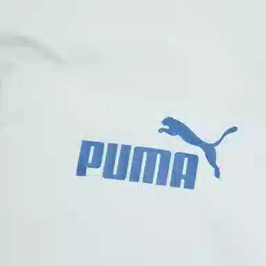 PUMA Down Puffy Jacket Light Grey