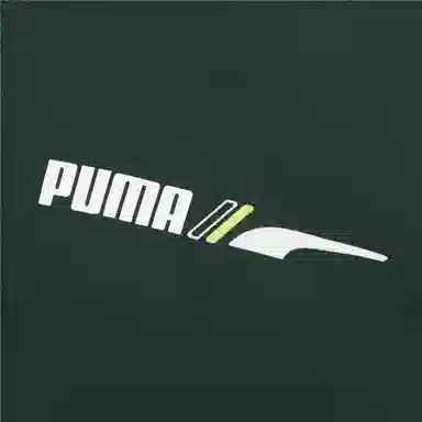 Puma Winterized Logo