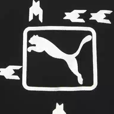 Puma Metallic Logo Jacket