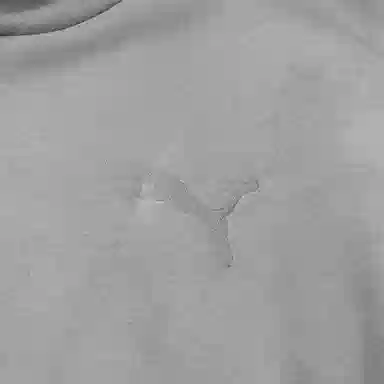 PUMA Elevated HOODIE FL