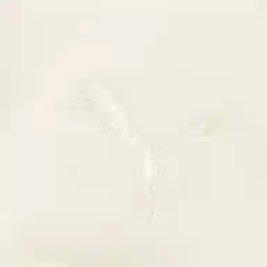 Puma x Michael Lau Graphic Crew Fleece Eggnog