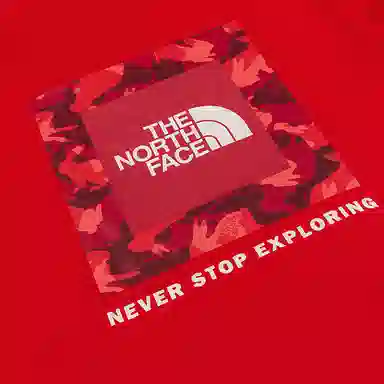 THE NORTH FACE Logo