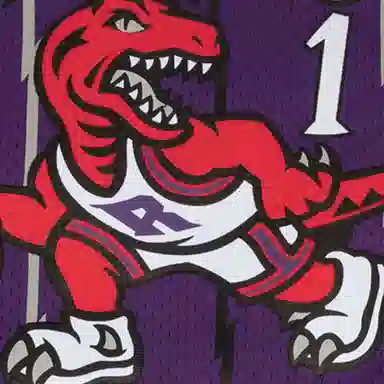 Mitchell & Ness NBA Retro Jersey Tracy McGrady Raptors Purple