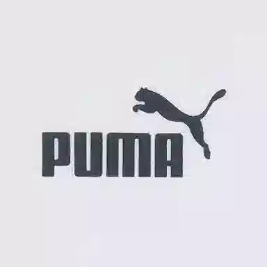 Puma Logo Crewneck Long Sleeve Tee White