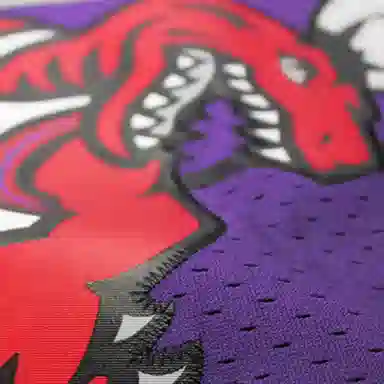 Mitchell & Ness NBA Retro Jersey Tracy McGrady Raptors Purple