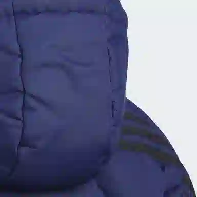 adidas Sportswear FW24