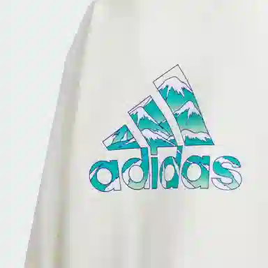 adidas CITY ESCAPE FW24 GRAPHIC CREW SWEATER