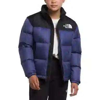 THE NORTH FACE Big 1996 Retro Nuptse Jacket