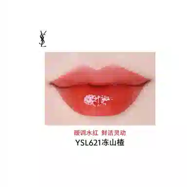 YSL Lip Gloss