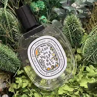 diptyque 2025 EDT 100ml