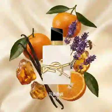 YSL 2025 parfum 50ml90ml