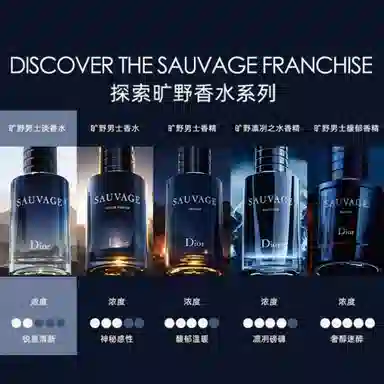 DIOR Wild 2024 Christmas EDT 100ml