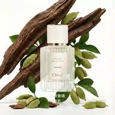 Chloe Northern Cedar EDP