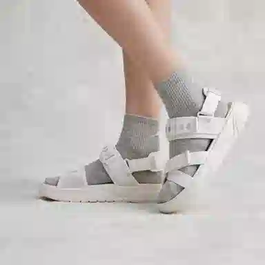 Kappa Jungle Lion Series