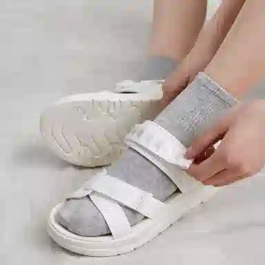 Kappa Jungle Lion Series