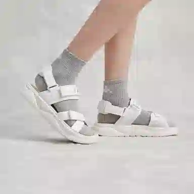 Kappa Jungle Lion Series