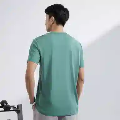 361 T