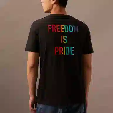 CALVIN KLEIN Jeans T