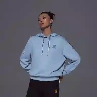 adidas Originals Skate Hoodie