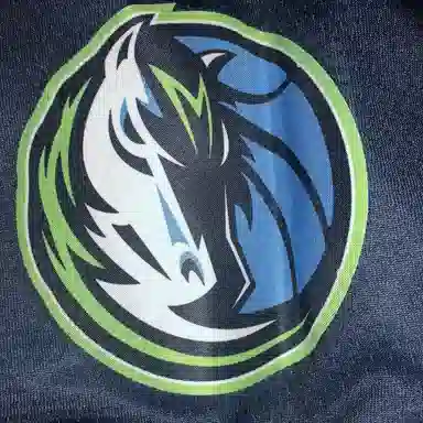 Nike NBA ICON Shorts